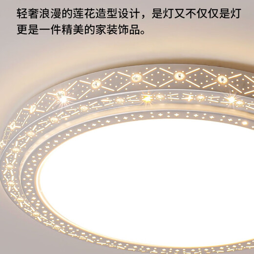 佲伙2024新款吸顶灯led大尺寸客厅灯简约现代卧室灯圆形超亮大厅灯具 直径60CM高亮白光48瓦