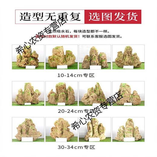Xushansi water-absorbing stone rockery bonsai original stone water-absorbing stone micro-landscape landscaping strange stone ornamental stone matching decoration 10-14cm water-absorbing stone does not include pots and comes with grass seeds and stones