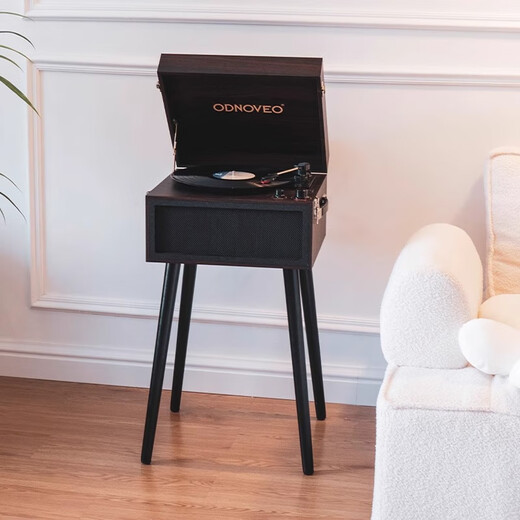 Otieno European-style simple multi-functional vinyl record player radio gift gift Bluetooth audio retro model room record player home floor-standing gramophone order free record combination three