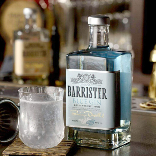 百利斯特(BARRISTER)杜松子酒金酒 俄罗斯原瓶进口洋酒高度烈酒礼盒 杜松子果味40度 700mL 1瓶