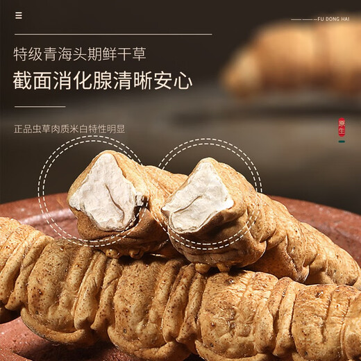 Fudonghai Cordyceps sinensis Sinensis Special Grade 1 Gramm #C Freeze-getrocknete Selektion hochwertige hochwertige Höhengras ohne Gras ohne hohle East Cordyceps Geschenk Tonic