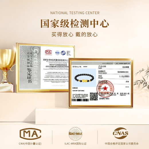 ALLOVE Pure Silver Pixiu Bracelet Men's Bracelet Transfer Beads Boy's Birthday Gift for Boyfriend and Husband's Birthday Light Luxury