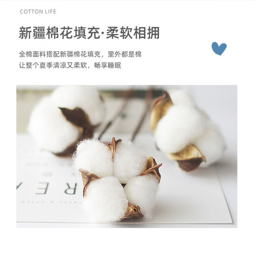 Jie Liya (grace) baby summer cool quilt children's summer quilt pure cotton air-conditioned quilt core summer single kindergarten washable thin quilt Dinosaur Cute Travel Notes 110X150cm about 1.1Jin Jin equals 0.5kg