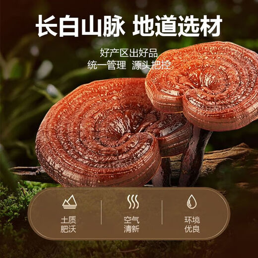 Huiji Broken Spore Powder Changbaishan Broken Ganoderma Spore Powder Capsules Spore Powder Soft Capsules 60 Capsules 1 Bottle 2 Bottles Take 30 Days Broken Ganoderma Spore Powder Capsules/
