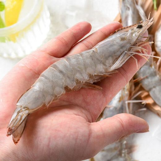 Jingxian Port Indonesian White Shrimp No Added Antioxidants Net Weight 1.65kg 40-50 pieces/kg