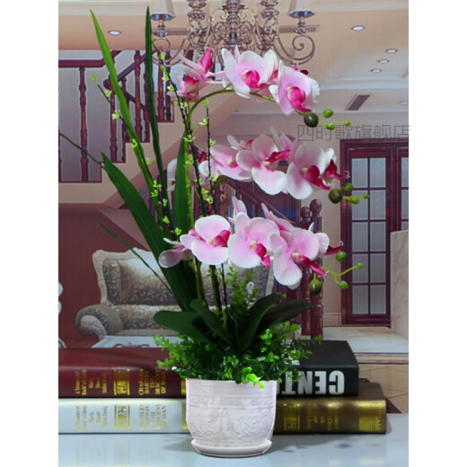 Ruimu Phalaenopsis artificial flower fake flower pot Phalaenopsis fake flower Phalaenopsis potted fake flower flower potted fake flower butterfly 9 fork pink alyssum + ceramic flower pot