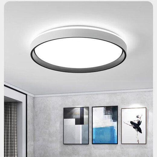 SUOYADA索亚达新款卧室主灯极简led吸顶灯简约现代客厅灯房间餐厅书房2024新款 百慧灰圆50cm白光48w(10-18平)