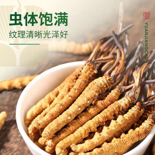 源江草冬虫夏草 3根/g 20克 60根虫草礼盒送长辈礼物高档【端午节礼物】