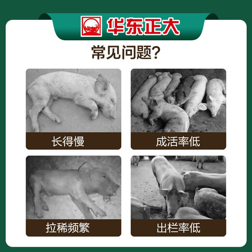 East China Zhengda 8% soybean meal-free piglet medium pig lactation pregnancy gilt boar premix high amino acid breeding boar 10 free 1 (11 bags sent)