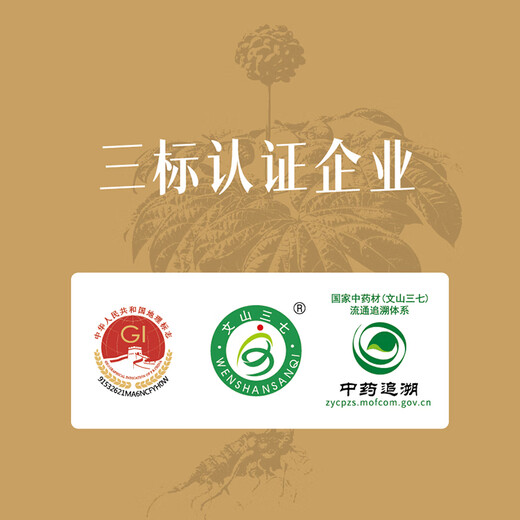 【医本善】三七粉 散瘀止血消肿定痛 便血外伤跌扑肿痛 正宗云南文山特级 纯野生3g×30袋 独立包装 三七粉  3g×30袋/罐