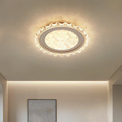 Forest cream style flower bedroom lamp simple modern creative warm full spectrum eye protection room ceiling lamp 2024 new DD-8253 small size 43CM white three-color dimming