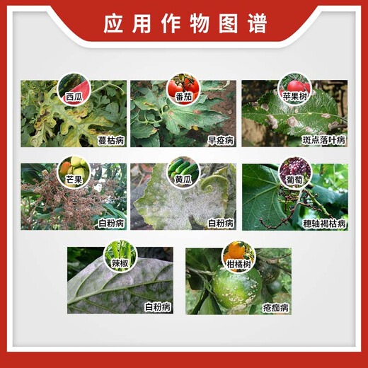 BASF JianGong benzylfluamide Jian Gong black star white powder early disease spot leaf disease Jian Gong pesticide fungicide 15ml