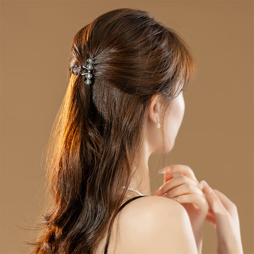 Chimera (CHIMERA) small half-tied shark clip exquisite back of the head grabber hairpin hair grabber girl birthday gift