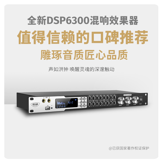 Melody DSP6300 karaoke reverberation digital audio preamp effector home theater anti-howling mixer processor with microphone mixer equalizer DSP6300 professional karaoke effector deluxe version standard version