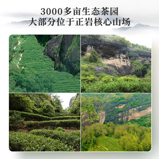 曦瓜乌龙茶禧释系列武夷岩茶水仙一级153g 中火礼盒装