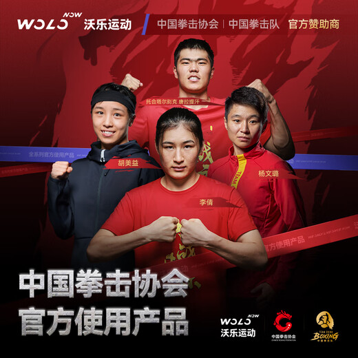 WoLe Fascia Gun Massager Massager Shoulder, Neck, Back Professional Sports Level Muscle Relaxation Mini Mini Leg Gift for Girlfriend, Parents, Boy, Birthday Gift, Christmas Gift