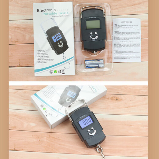 Ogilvy portable electronic scale portable gram weight scale home weighing vegetable courier crane scale high precision compact 50kg