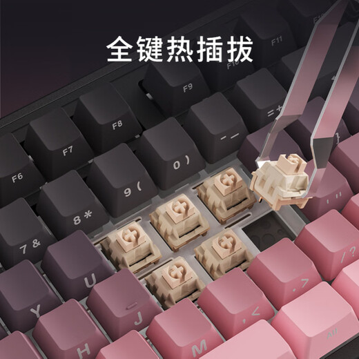 黑爵（AJAZZ）AK870PLUS三模客制化机械键盘 Gasket结构五层填充全键热插拔RGB下灯位电竞游戏高颜值HJ13A 【三模】织梦轴-渐变粉