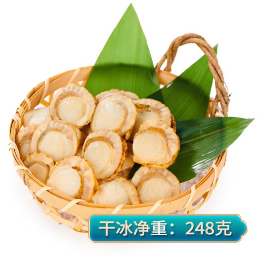 Fuzhao Frozen Large Ezo Scallop Meat Removed, No Sand 248g Ice-Free Scallop Vermicelli Fresh Hot Pot BBQ Ingredients