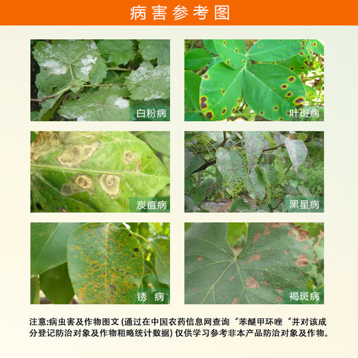 40% difenoconazole fungicide, benmimidazole, special pesticide for watermelon anthracnose, fungicide 500g