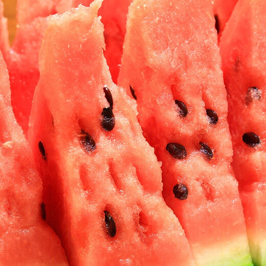 Shouhe Lazy Man Watermelon Seed Lazy Man King Watermelon Seed Extra Large Spring No Pruning Lazy Man Fruit Seedling Southern Sweet Green Emperor Lazy Man King Watermelon Seed 50gx2 cans