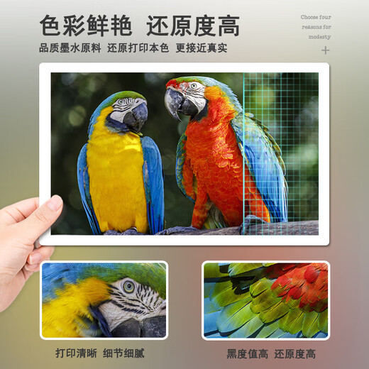 Shangqi подходит для HP HP Smart Tank 676 675 310 672 530 Принтер чернила Bin Printer Ink Gt51/GT53 Черные чернила [90 мл]