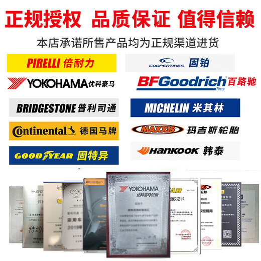 Haida Tire Snow Tire/Winter Tire Anti-slip and Low Temperature Resistance HD687 245/45R19 102H