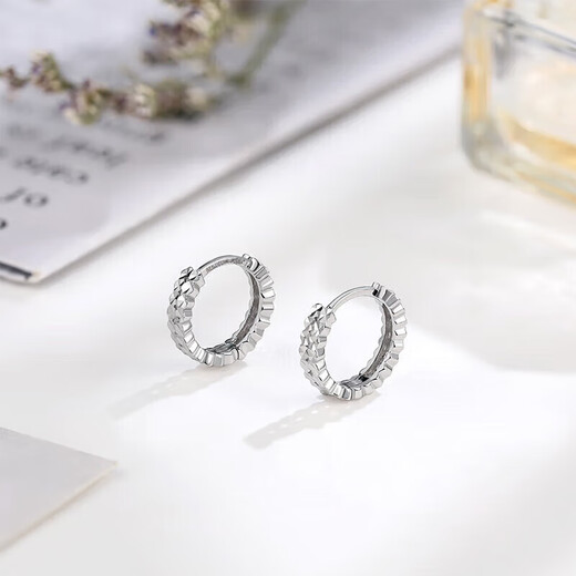 Liuguifu Jewelry PT950 Platinum Earrings Starry Platinum Earrings Platinum Earrings for Women PT0200016 2.55g