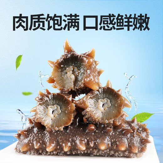 Guanshentang Dalian ready-to-eat sea cucumber 1Jin Jin is equal to 0.5kg 7-10 pieces Frozen sea cucumber seafood simple package more than 85% solid content
