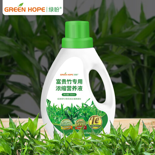 Green Hope Rich Bamboo Nutrient Solution Special Leaves Yellow Bamboo Branch Water Culture Hydroponic Fertilizer Green Plant Potted Soil Culture Transfer Bamboo