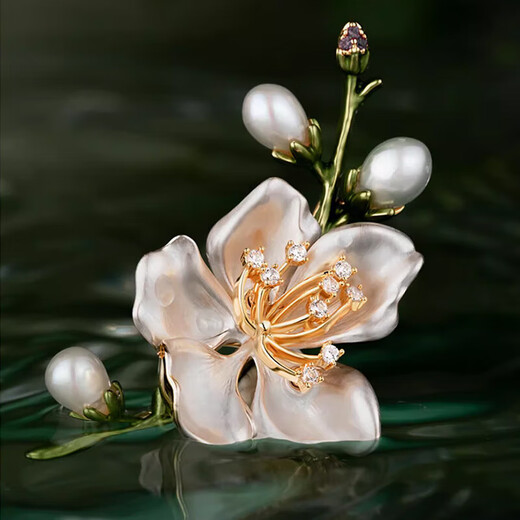 Ancient magnolia brooch, high-end women's exquisite niche freshwater pearl corsage gift box, light luxury and elegant birthday gift for women, magnolia brooch, exquisite gift box