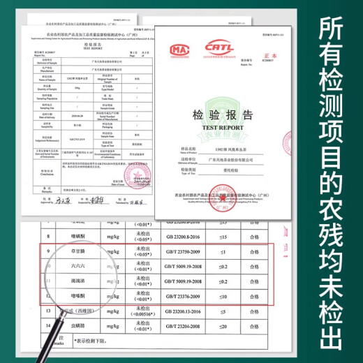 1392 Tianchi Tea Industry Authentic Chaozhou Phoenix Single Cong Lanxiang hält und glättet zurück zu Sweet Enten Shit 125G -Gruppe Kaufgeschenk Entenscheiße 125G (Senden Sie Single Cong Tasting 3 Blasen)