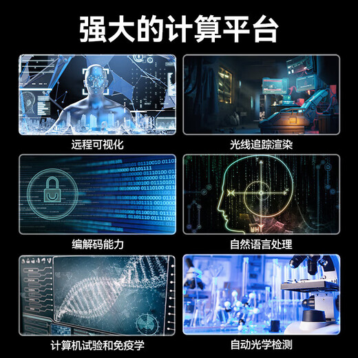 联想（Lenovo）ThinkSystem SR650V2/SR650V3 2U机架式高性能deepseek本地部署服务器 AI计算深度学习GPU主机 SR650V3丨1颗银牌4410Y丨12核2.0G 512G丨5*7.68T丨2*L40s 48G