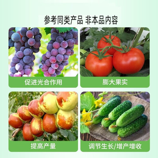 0.1% Thidiazuron Grape Fruit Expansion, Yield Increase, Income Increase, Cytokinin Regulation, Growth Regulator 1000ml/Bottle (1 Bottle)