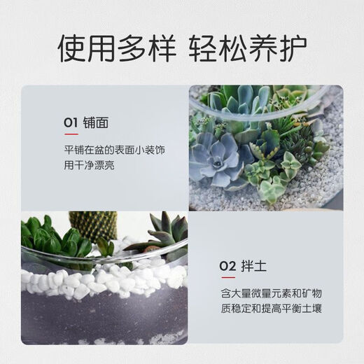 Shangyang Perlite 3L gardening succulent soil granular paving stone beautiful soilless cultivation matrix plant planting nutrient soil