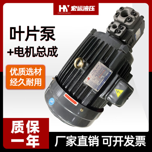 Hydraulic oil pump motor unit PV2R1+3KW5.5KW hydraulic pump assembly inner shaft motor hydraulic station accessories 22KW inner shaft motor (oil pump separately +)