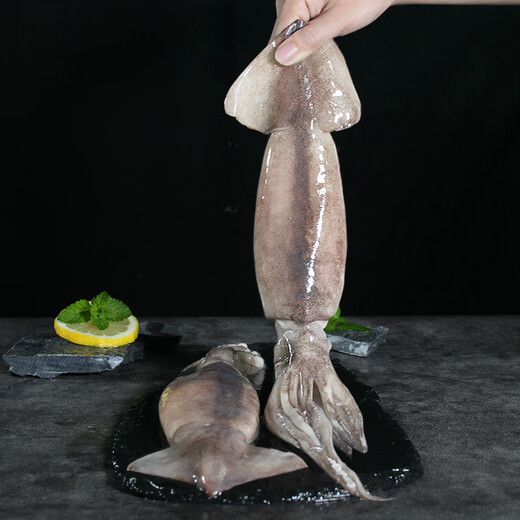 Fresh and frozen large squid 2-4 pieces net weight 1.2-1.3Jin Jin is equal to 0.5kg Teppanyaki squid hot pot barbecue ingredients seafood soft feet