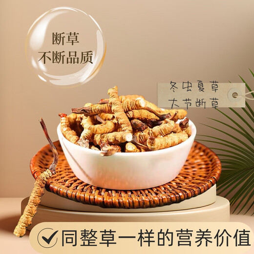 Xina Tibetan Cordyceps Cordyceps Broken Grass Genuine Cordyceps Broken Grass Selected Dry Goods High-altitude Broken Grass Self-use and affordable Package of Nagqu, Tibet Nagqu, 30g Package of Big Broken Grass with Seedlings