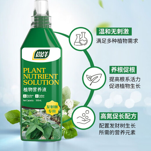 Shangyang Money Tree special plant nutrient solution 500mL flower pot yellowing and falling leaves hydroponic green plant organic flower fertilizer