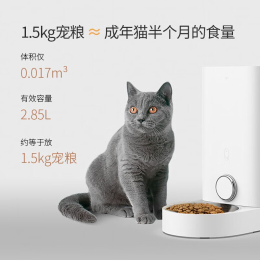 Xiaopei pet smart feeder mini stainless steel bowl automatic feeder cat bowl timed and quantitative food storage pet bowl