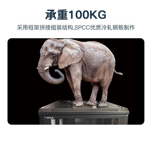 Totem Bodyguard 9U server cabinet 649U thickened steel 19-inch standard government and enterprise engineering send Huipai 6-port PDU 9U 600 width * 450 depth