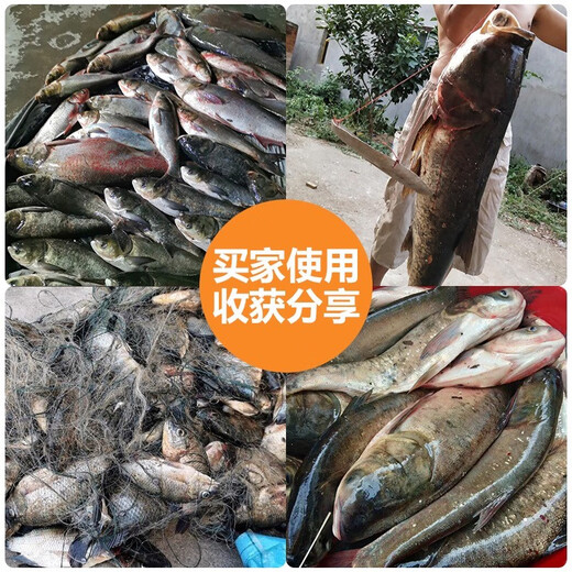 Fishing net, three-layer floating net, sticky fish net, fishing net, wire mesh, hanging net, white striped fish net, silver carp, bighead fish net, three-layer floating net, 1.5 meters high, 3 fingers, 95 meters long