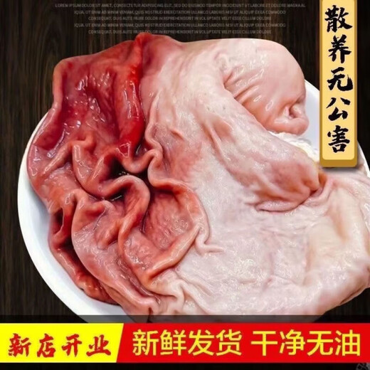 Fresh pork belly, whole pig stomach, free-range native pig, fresh ingredients, nutritious hot pot, beef offal, fresh pork belly, 4 Jin Jin equal to 0.5 kg, 4-5 pigs, free-range farm