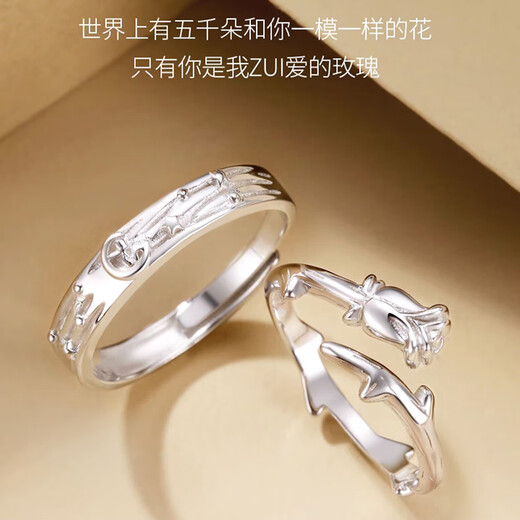 Dirholl Little Prince and Rose Platinum Ring PT950 Platinum Couple Proposal Ring 520 Valentine's Day Gift for Girlfriend Light Luxury Style - Little Prince and Rose Pair of Rings - No Engraving