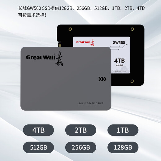 长城（Great Wall) 256GB SSD固态硬盘 SATA3.0接口 读速540MB/S台式机/笔记本通用 GW560系列 