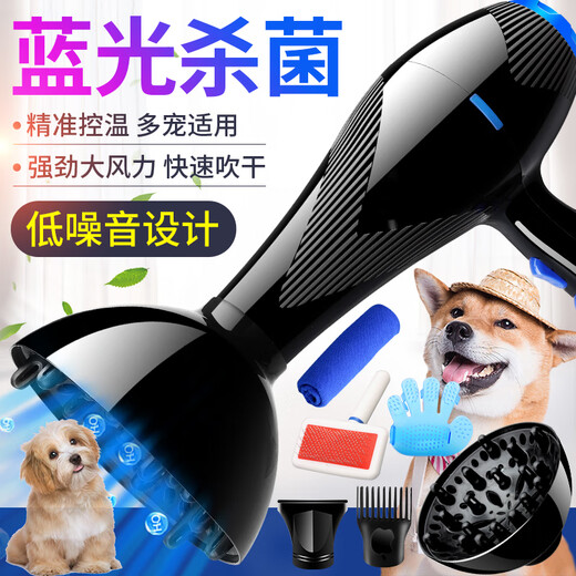 Mila Meow Pet Hair Dryer Large and Small Power Cats Teddy Golden Retriever Dogs Large and Small Dogs Special Pet Shop Water Dryer Flagship Version High Power Blu-ray Suitable for Medium and Large
