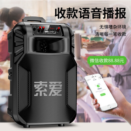 Sony Ericsson F21 12-inch high-power subwoofer square dance speaker mobile outdoor Bluetooth trolley speaker portable amplifier 12-inch subwoofer (without microphone)