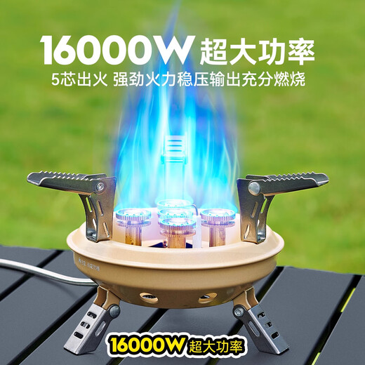 Primitive outdoor stove portable cassette stove gasifier outdoor camping picnic barbecue stove with electronic ignition, free conversion head + storage bag