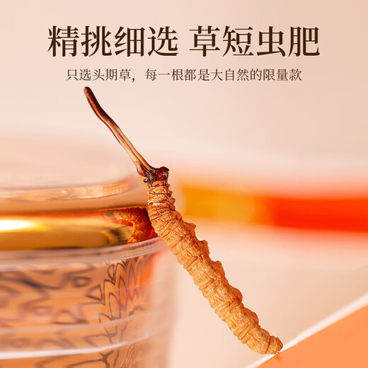 Tongfu Cordyceps sinensis 2-3 roots/g 100g About 250 roots gift boxes, nourishing nutritional products, gifts for elders