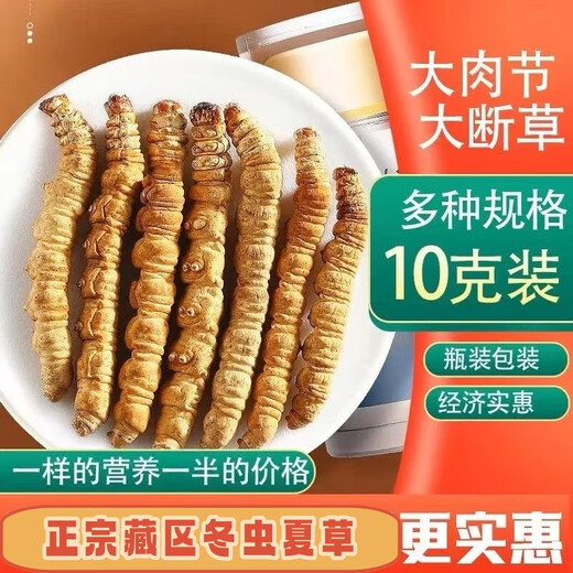 Luzhangtang authentic Tibetan high-altitude fine cordyceps broken grass Cordyceps sinensis bought 10 grams of cordyceps 11 grams of 11 grams of buy Duohui Nagqu, Tibet 80 grams of large broken grass (10 grams of 90 grams of 10 grams)